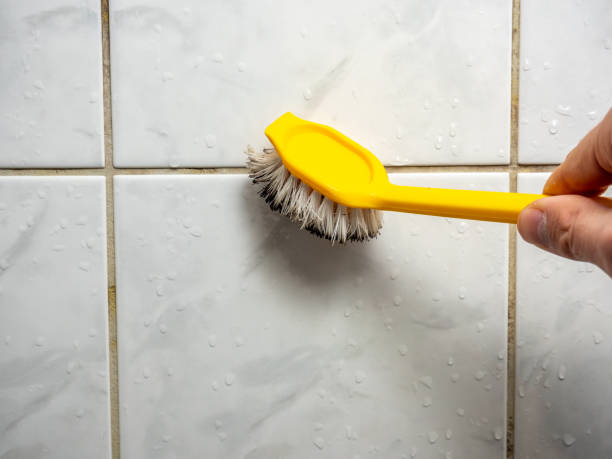 Best Mold Testing and Removal  in Garner, IA