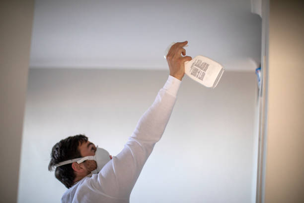 Best Commercial Mold Removal  in Garner, IA