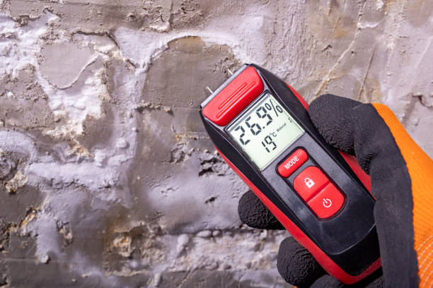 Best Black Mold Removal  in Garner, IA