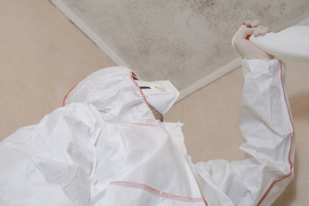 Best Office Mold Removal Services  in Garner, IA